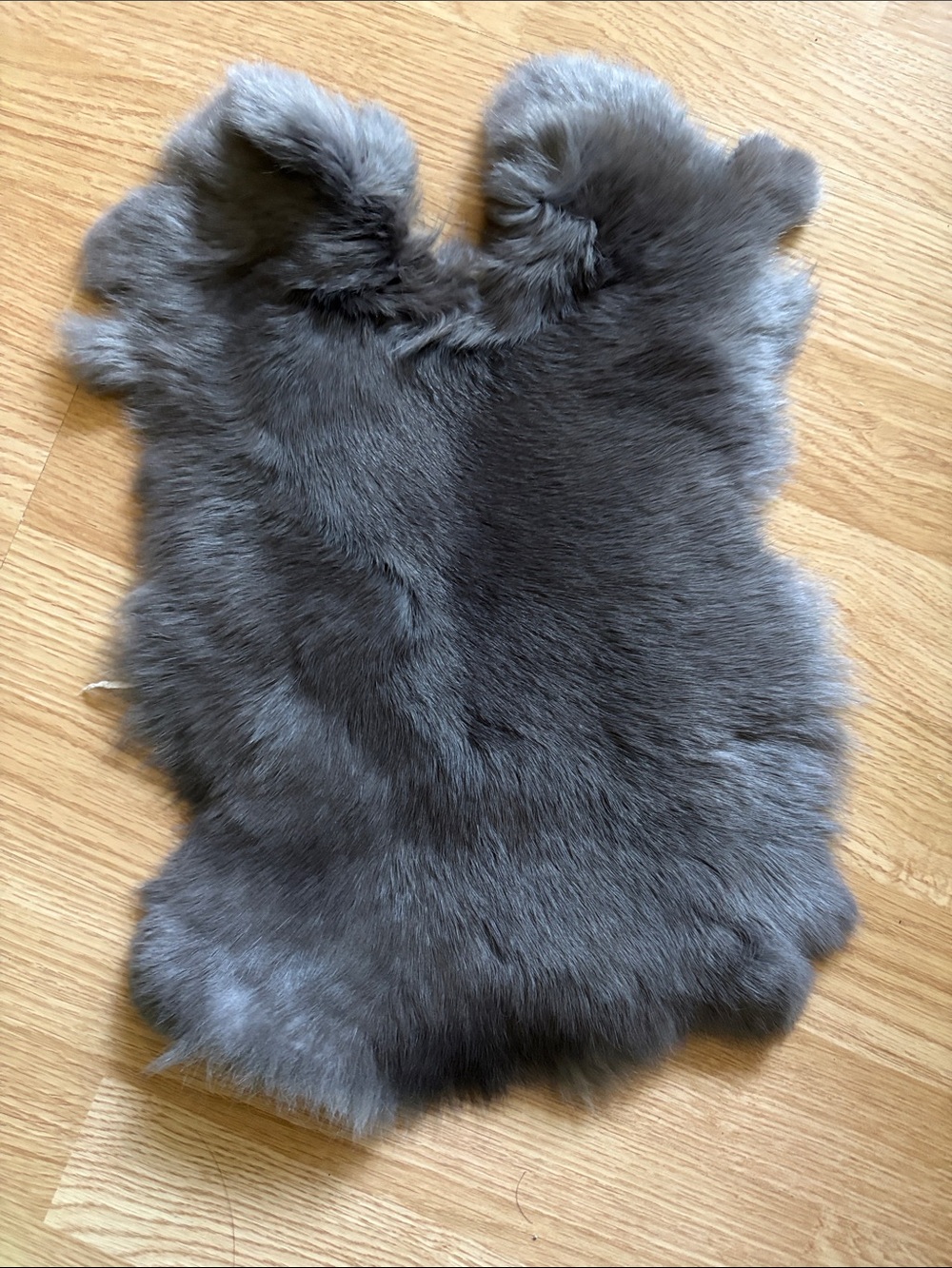 B0085 rabbit pelt